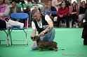 Crufts2011_2 950